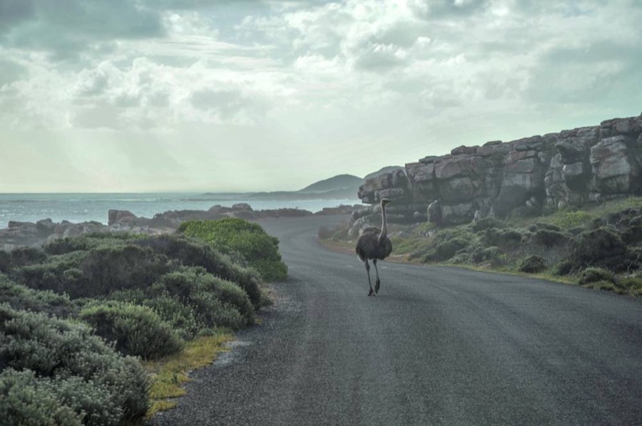 Ümit Burnu Yolu, Güney Afrika
